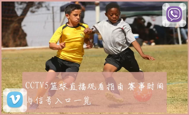 CCTV5篮球直播观看指南 赛事时间与信号入口一览