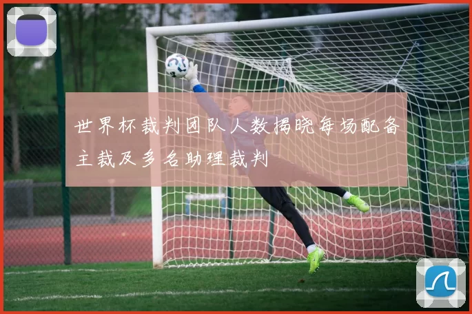 世界杯裁判团队人数揭晓每场配备主裁及多名助理裁判