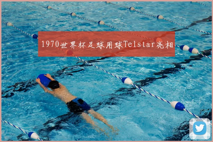 1970世界杯足球用球Telstar亮相