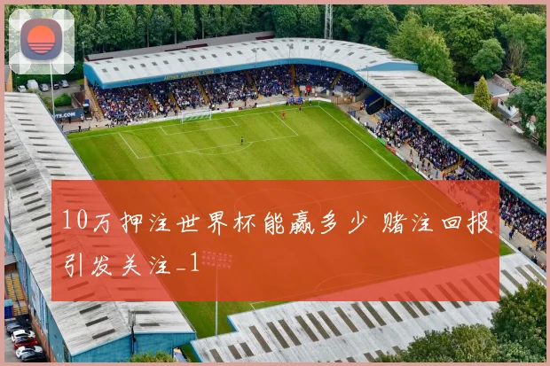 10万押注世界杯能赢多少 赌注回报引发关注_1