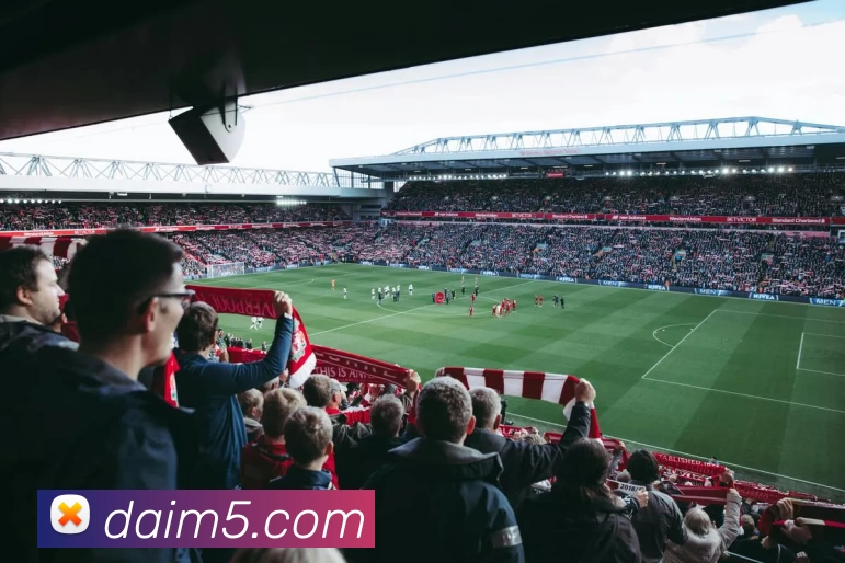 星空网官方网站入口APP 封面图